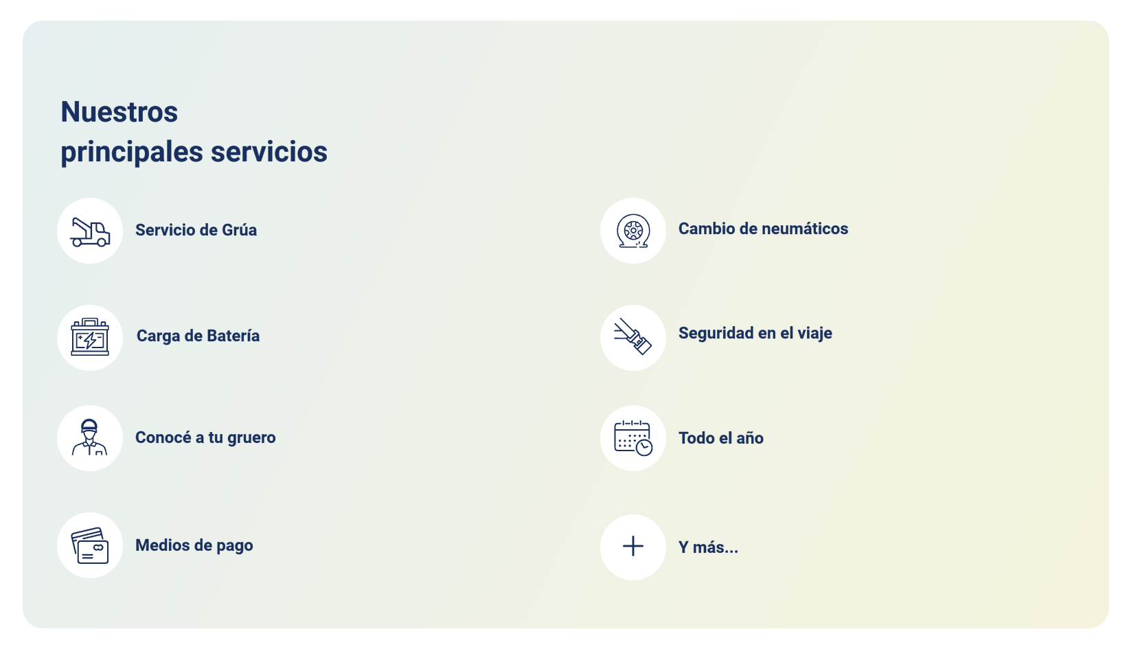 Servicios Towy's